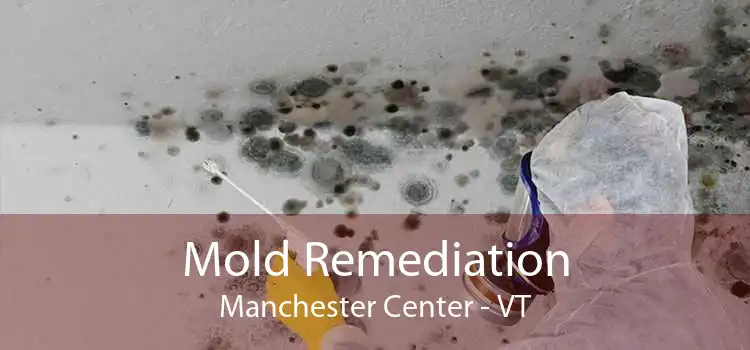 Mold Remediation Manchester Center - VT