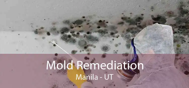 Mold Remediation Manila - UT