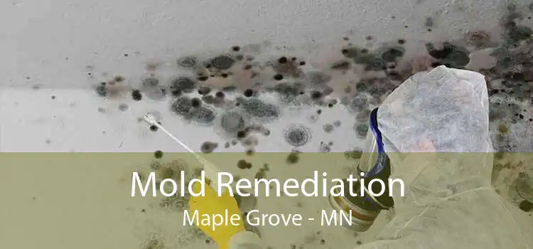 Mold Remediation Maple Grove - MN