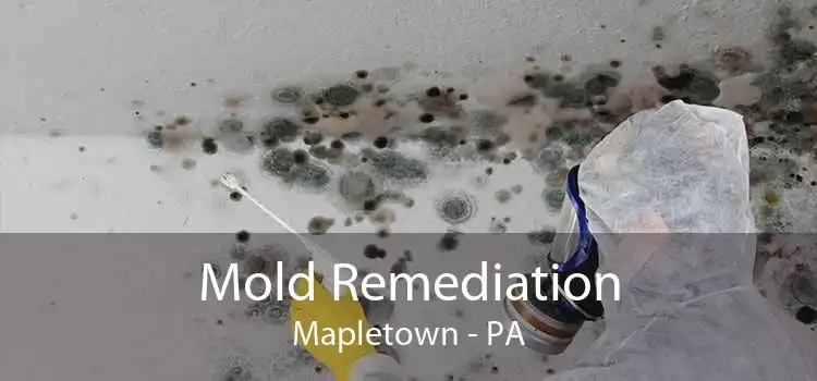 Mold Remediation Mapletown - PA