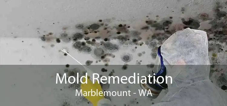Mold Remediation Marblemount - WA
