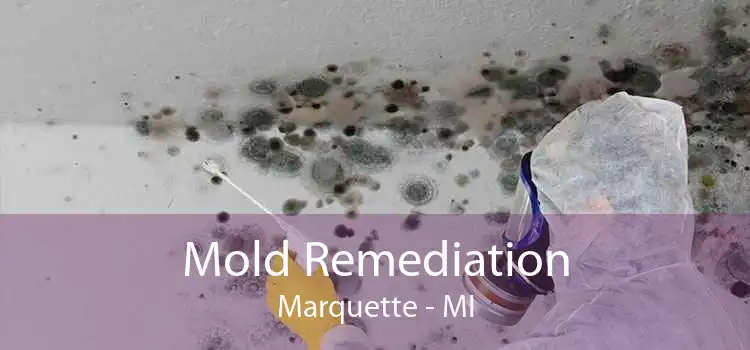Mold Remediation Marquette - MI