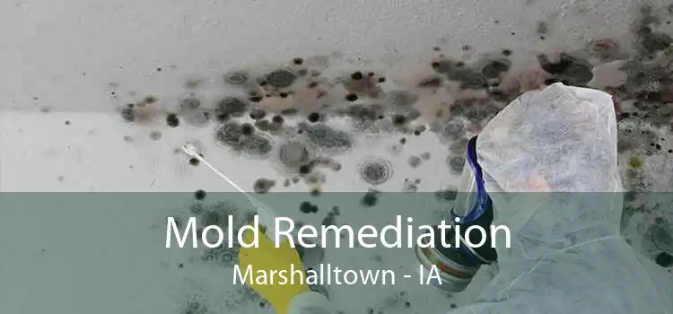 Mold Remediation Marshalltown - IA