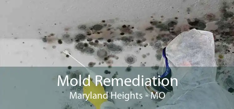 Mold Remediation Maryland Heights - MO