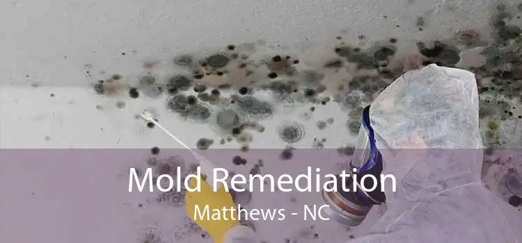 Mold Remediation Matthews - NC