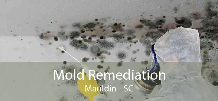 Mold Remediation Mauldin - SC
