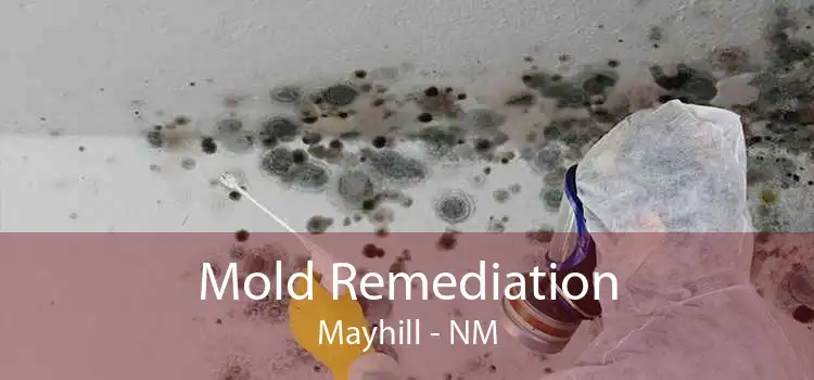 Mold Remediation Mayhill - NM