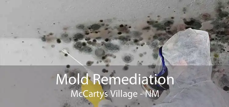 Mold Remediation McCartys Village - NM