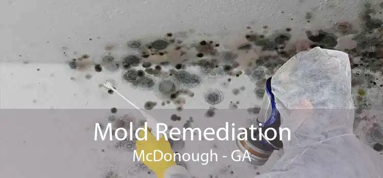 Mold Remediation McDonough - GA