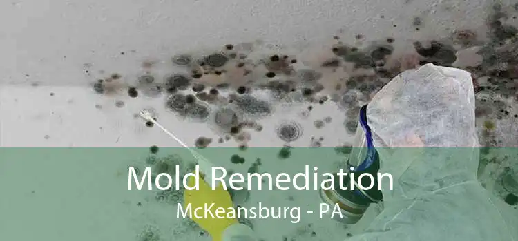Mold Remediation McKeansburg - PA