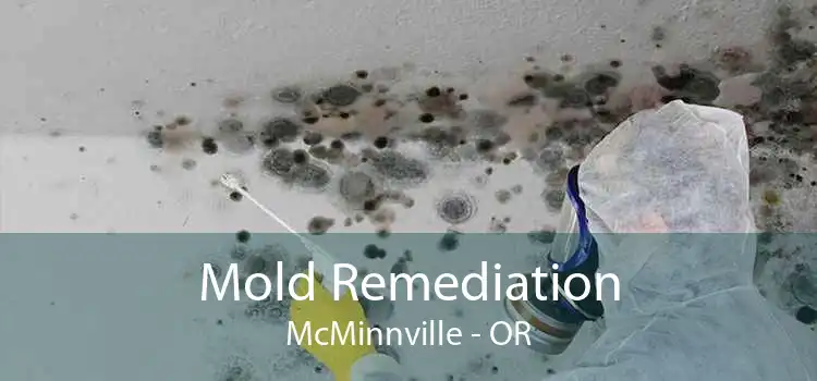 Mold Remediation McMinnville - OR
