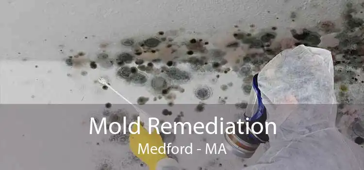 Mold Remediation Medford - MA