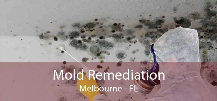 Mold Remediation Melbourne - FL
