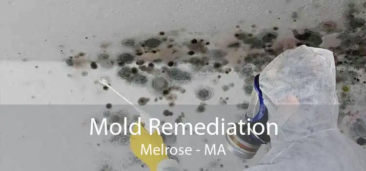 Mold Remediation Melrose - MA