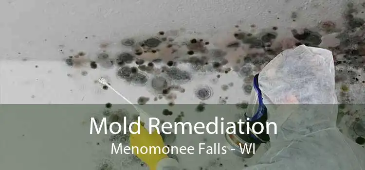 Mold Remediation Menomonee Falls - WI