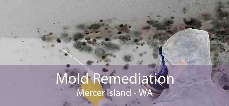 Mold Remediation Mercer Island - WA