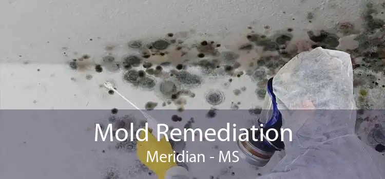 Mold Remediation Meridian - MS