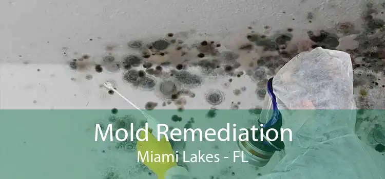 Mold Remediation Miami Lakes - FL