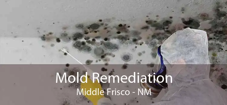 Mold Remediation Middle Frisco - NM