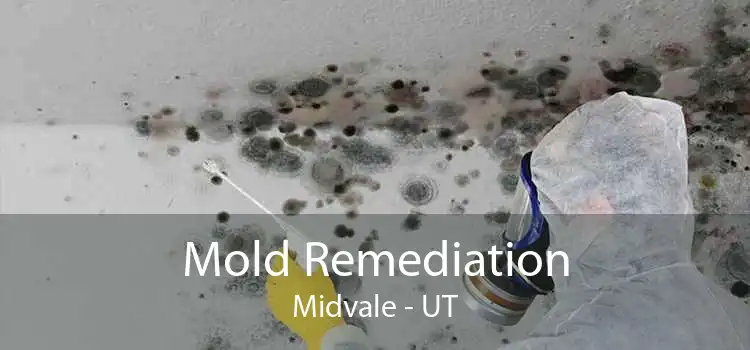 Mold Remediation Midvale - UT
