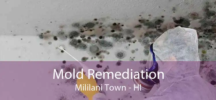 Mold Remediation Mililani Town - HI