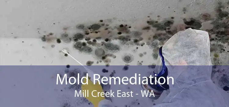 Mold Remediation Mill Creek East - WA