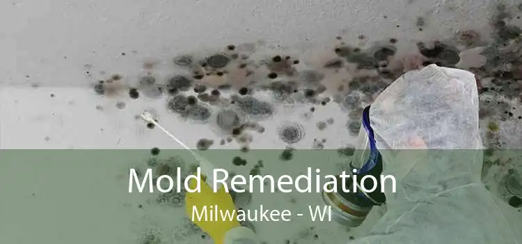 Mold Remediation Milwaukee - WI