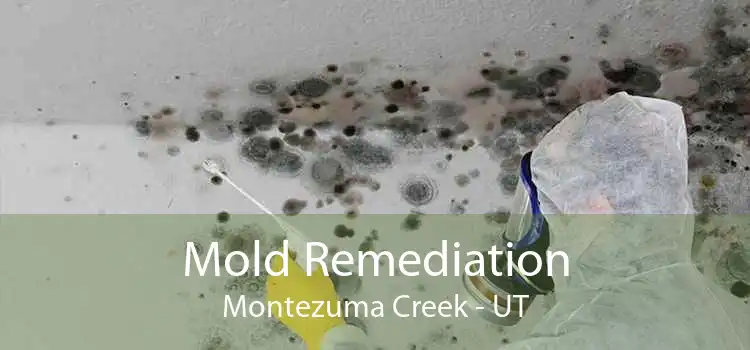 Mold Remediation Montezuma Creek - UT