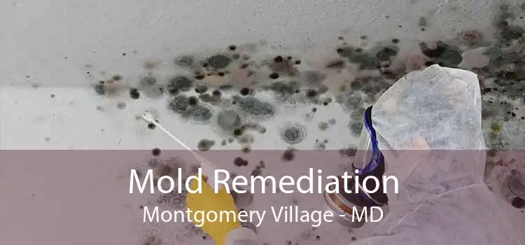 Mold Remediation Montgomery Village - MD