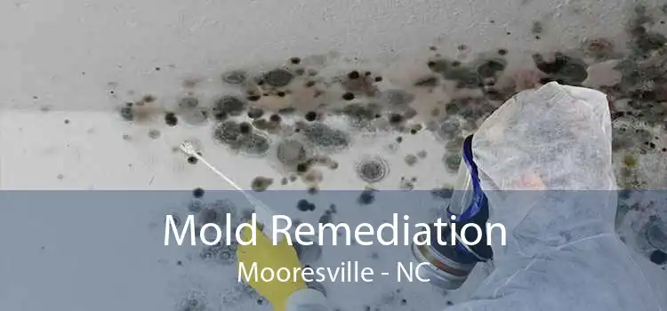 Mold Remediation Mooresville - NC