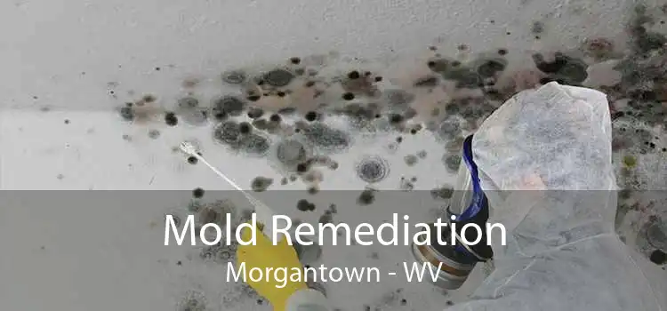 Mold Remediation Morgantown - WV