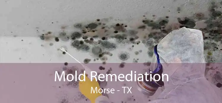 Mold Remediation Morse - TX