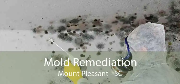 Mold Remediation Mount Pleasant - SC
