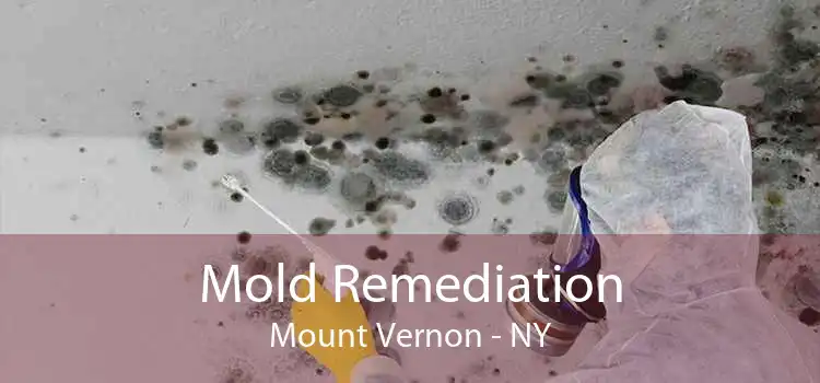 Mold Remediation Mount Vernon - NY