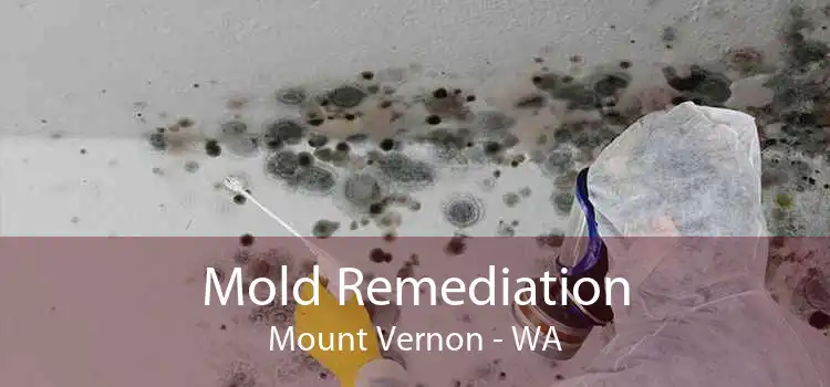Mold Remediation Mount Vernon - WA