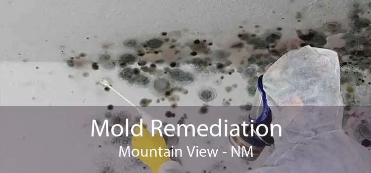 Mold Remediation Mountain View - NM