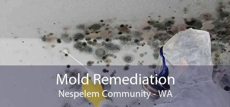 Mold Remediation Nespelem Community - WA