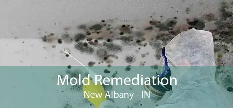 Mold Remediation New Albany - IN