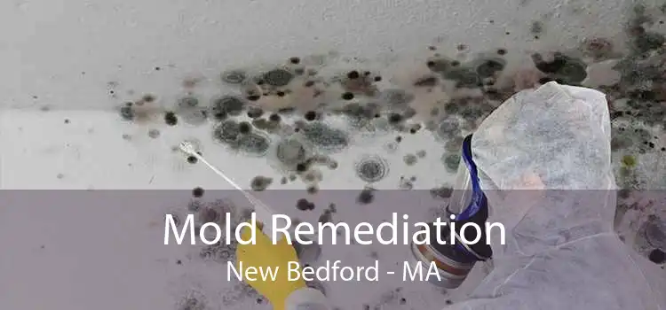 Mold Remediation New Bedford - MA