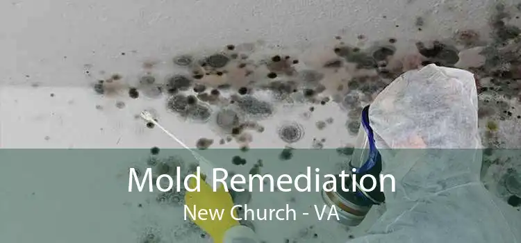 Mold Remediation New Church - VA