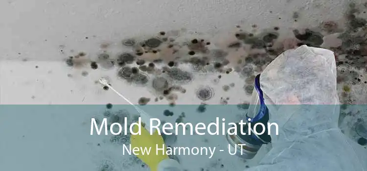Mold Remediation New Harmony - UT