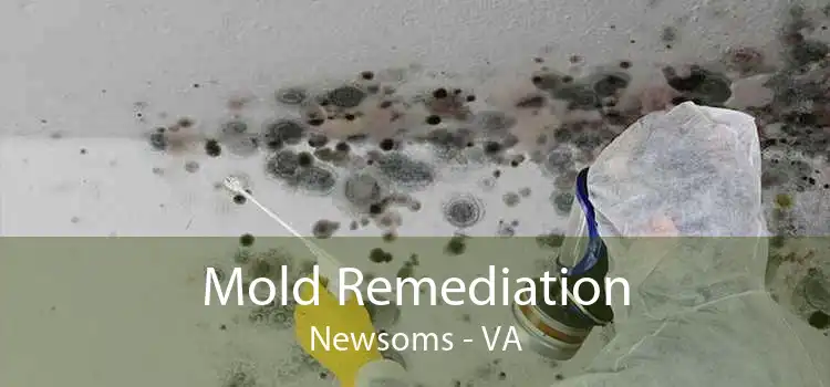 Mold Remediation Newsoms - VA