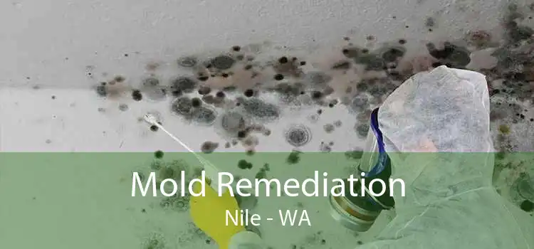 Mold Remediation Nile - WA