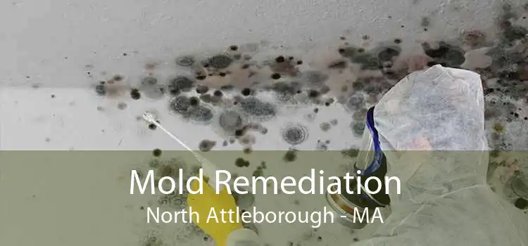 Mold Remediation North Attleborough - MA