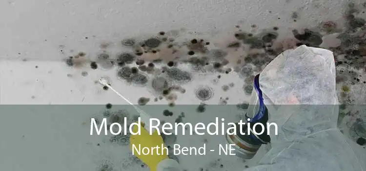 Mold Remediation North Bend - NE