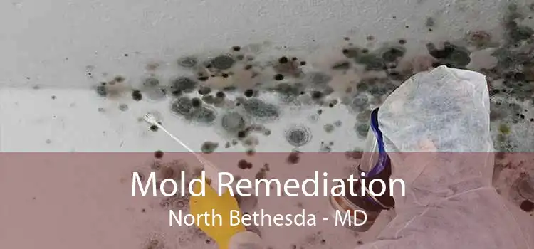 Mold Remediation North Bethesda - MD