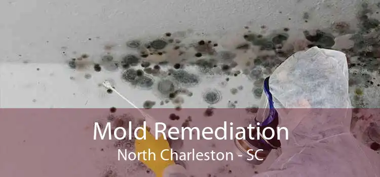 Mold Remediation North Charleston - SC