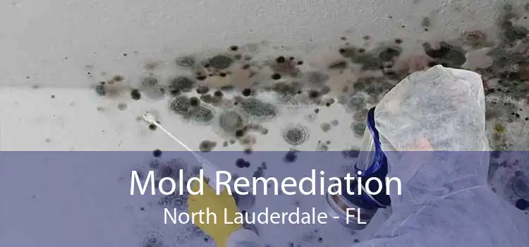 Mold Remediation North Lauderdale - FL