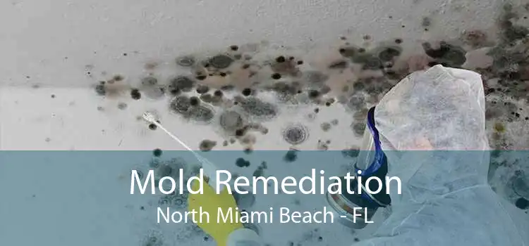 Mold Remediation North Miami Beach - FL