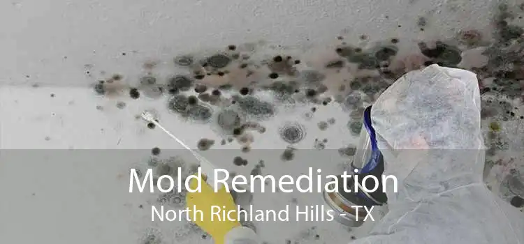 Mold Remediation North Richland Hills - TX